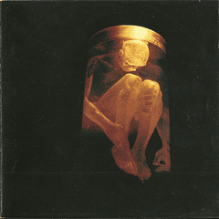 Alice In Chains - Nothing Safe: The Best Of The Box - Cd