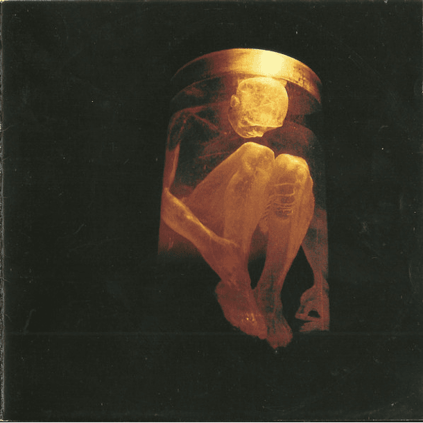 Alice In Chains - Nothing Safe: The Best Of The Box - Cd 