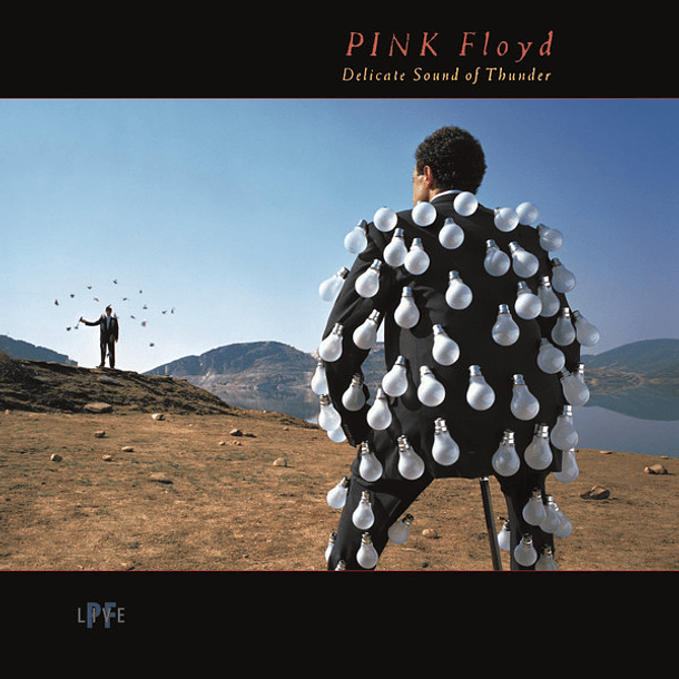 Pink Floyd – Delicate Sound Of Thunder - 2 Lps - Nuevo Y Sellado 