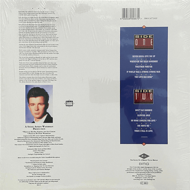 Rick Astley – Whenever You Need Somebody - Lp - Remasterizado - Hecho En Francia 2