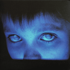 Porcupine Tree – Fear Of A Blank Planet - 2 Lps - Hecho En Europa