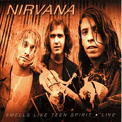 Nirvana – Smells Like Teen Spirit • Live - Set 6 CDs - Bootleg (Silver) - Nuevo Y Sellado