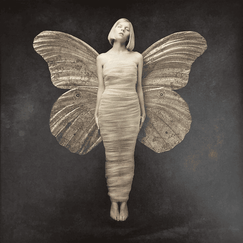 Aurora – All My Demons Greeting Me As A Friend - LP Vinilo - Hecho En U.S.A. - Nuevo Y Sellado