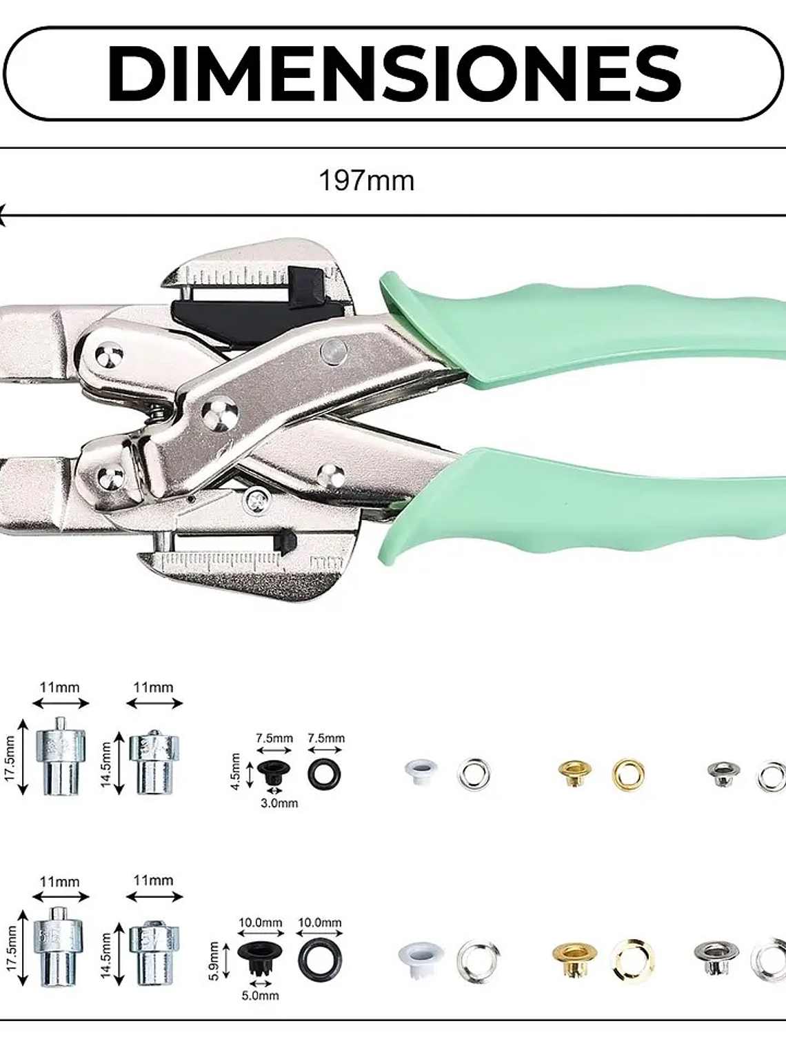 CROP A DILE ALTERNATIVA 2