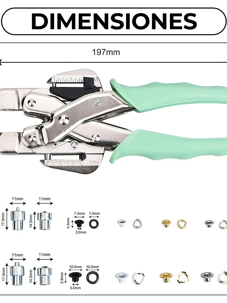 CROP A DILE ALTERNATIVA 2