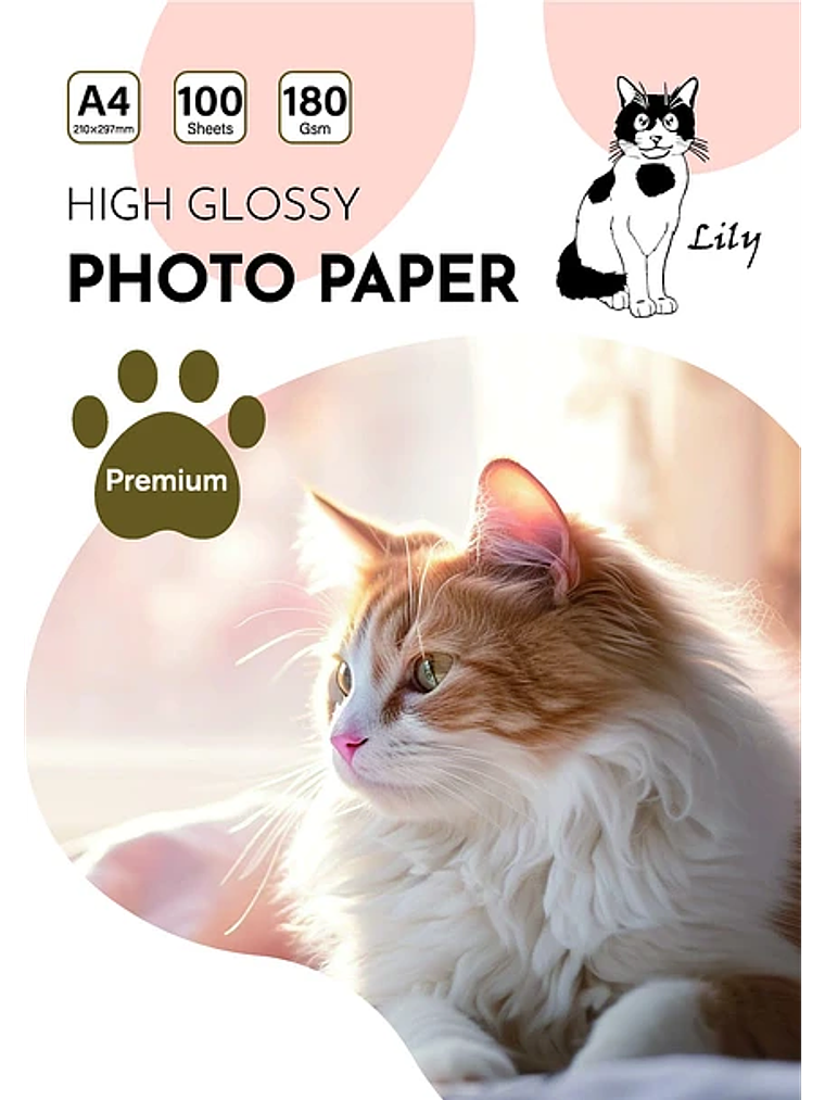 PAPEL FOTOGRAFICO GLOSSY 180 GRS 1