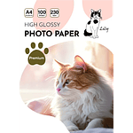 PAPEL FOTOGRAFICO GLOSSY 230 GRS