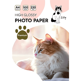 PAPEL FOTOGRAFICO GLOSSY 230 GRS