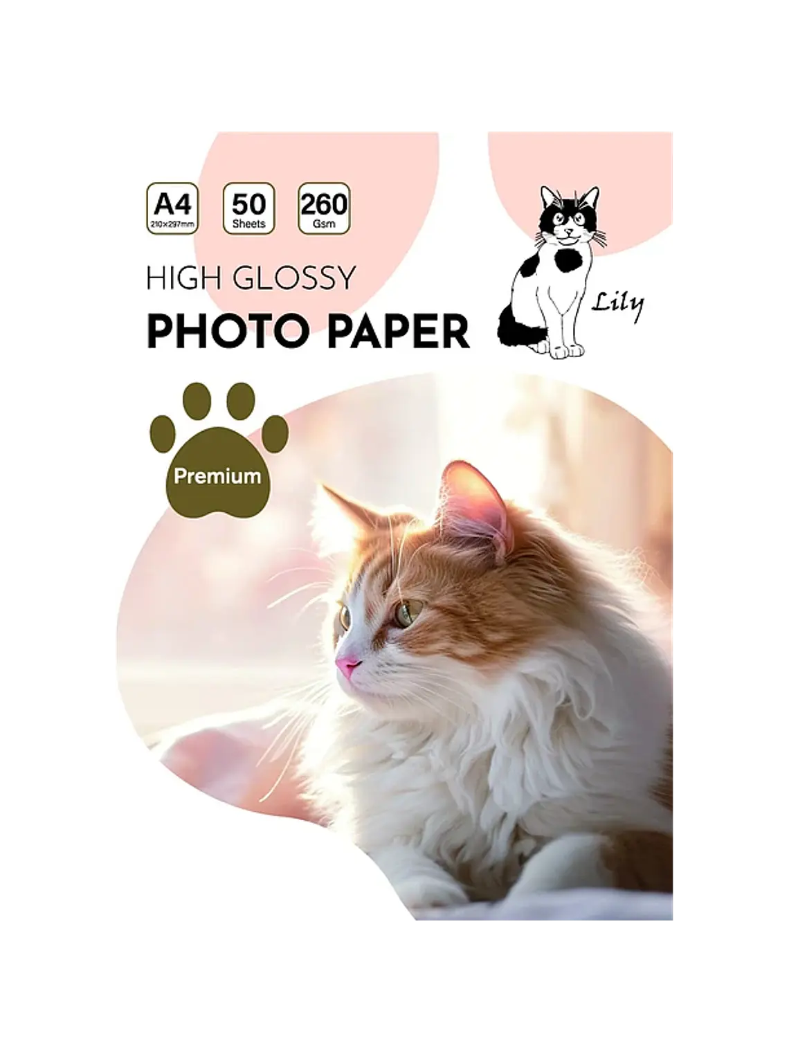 PAPEL FOTOGRAFICO GLOSSY 260 GRS 1