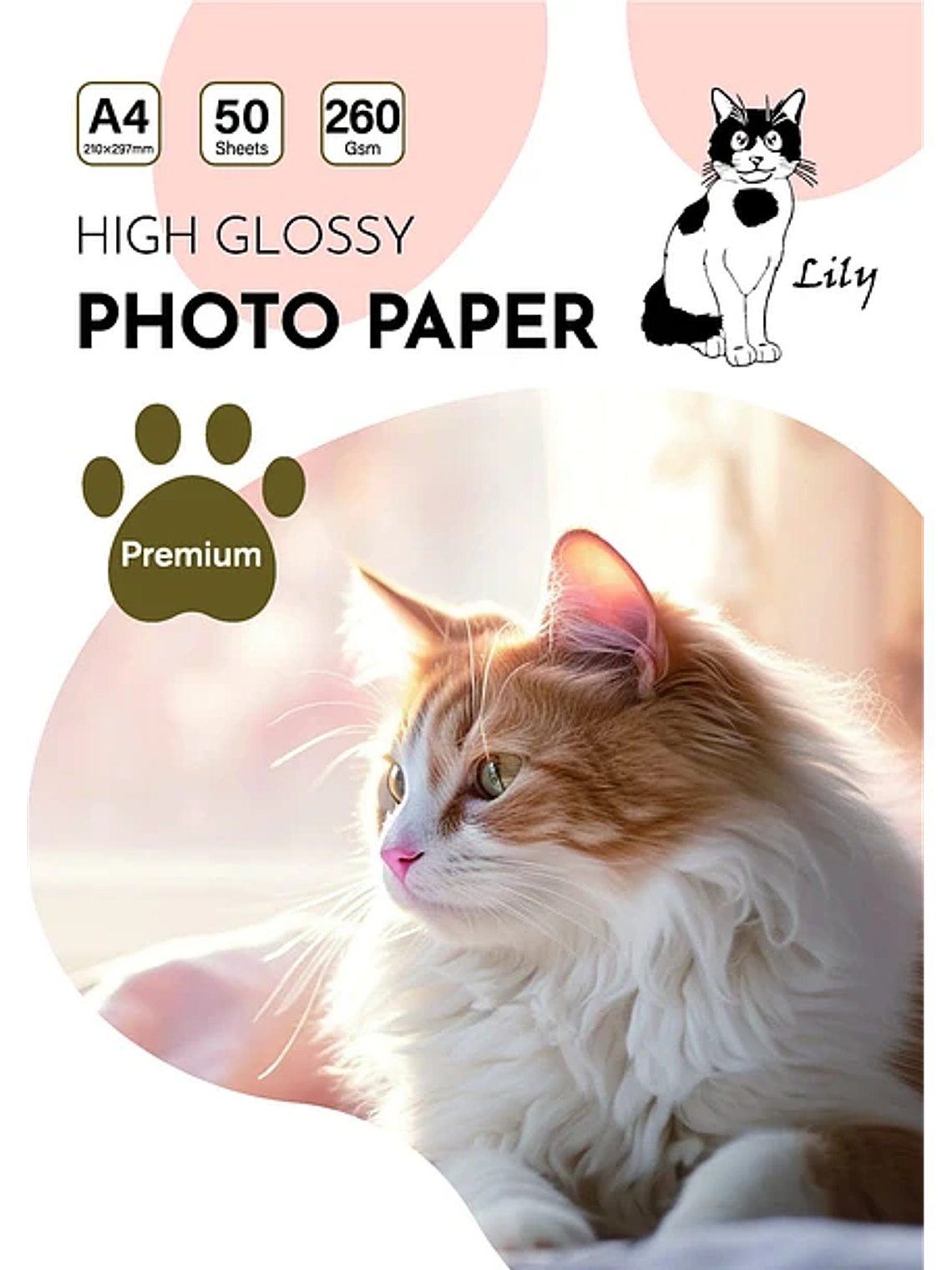 PAPEL FOTOGRAFICO GLOSSY 260 GRS 1