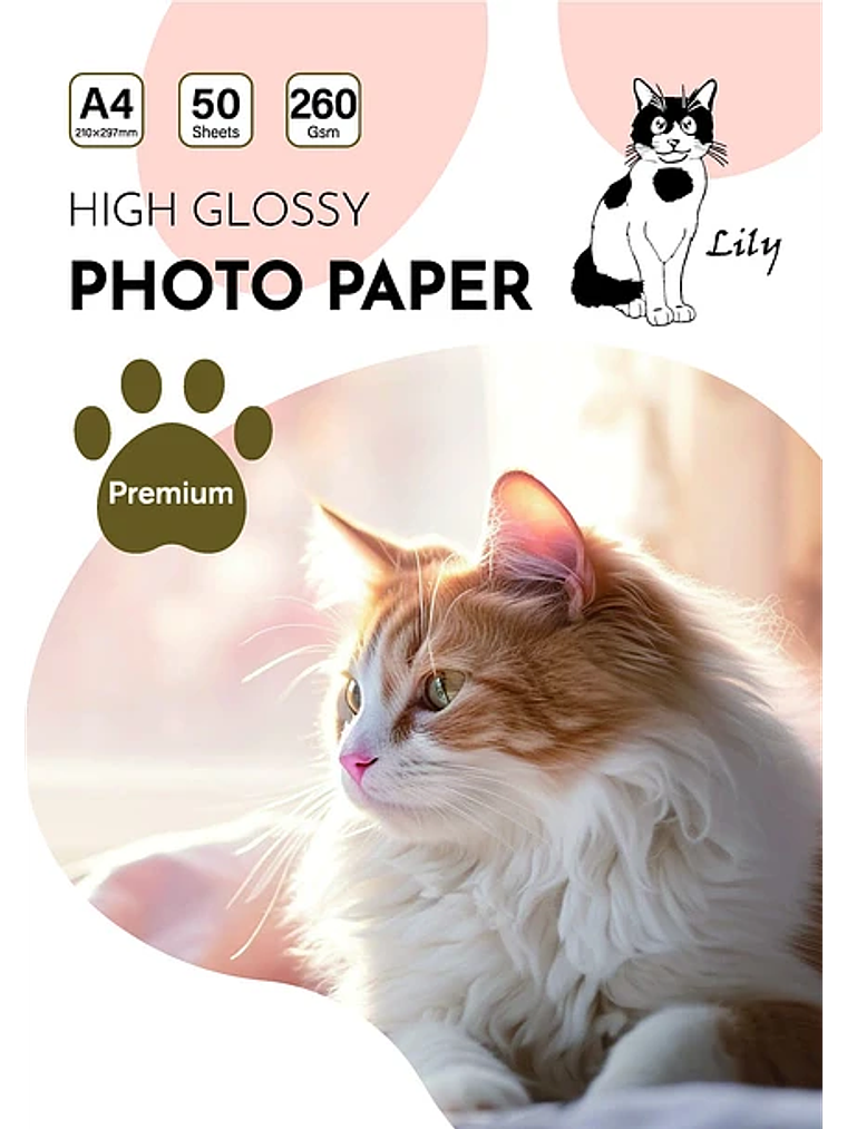 PAPEL FOTOGRAFICO GLOSSY 260 GRS 1
