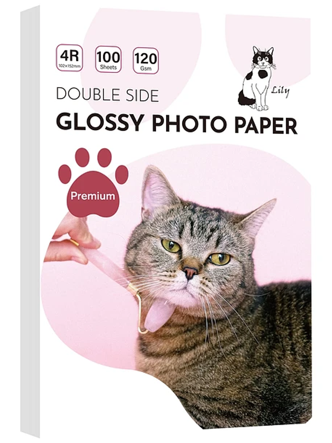 Fotográfico glossy 4r doble faz 120 grs  1