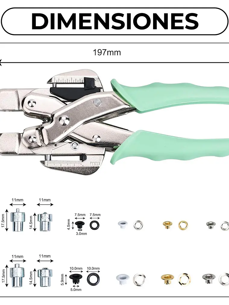 CROP A DILE ALTERNATIVA  2