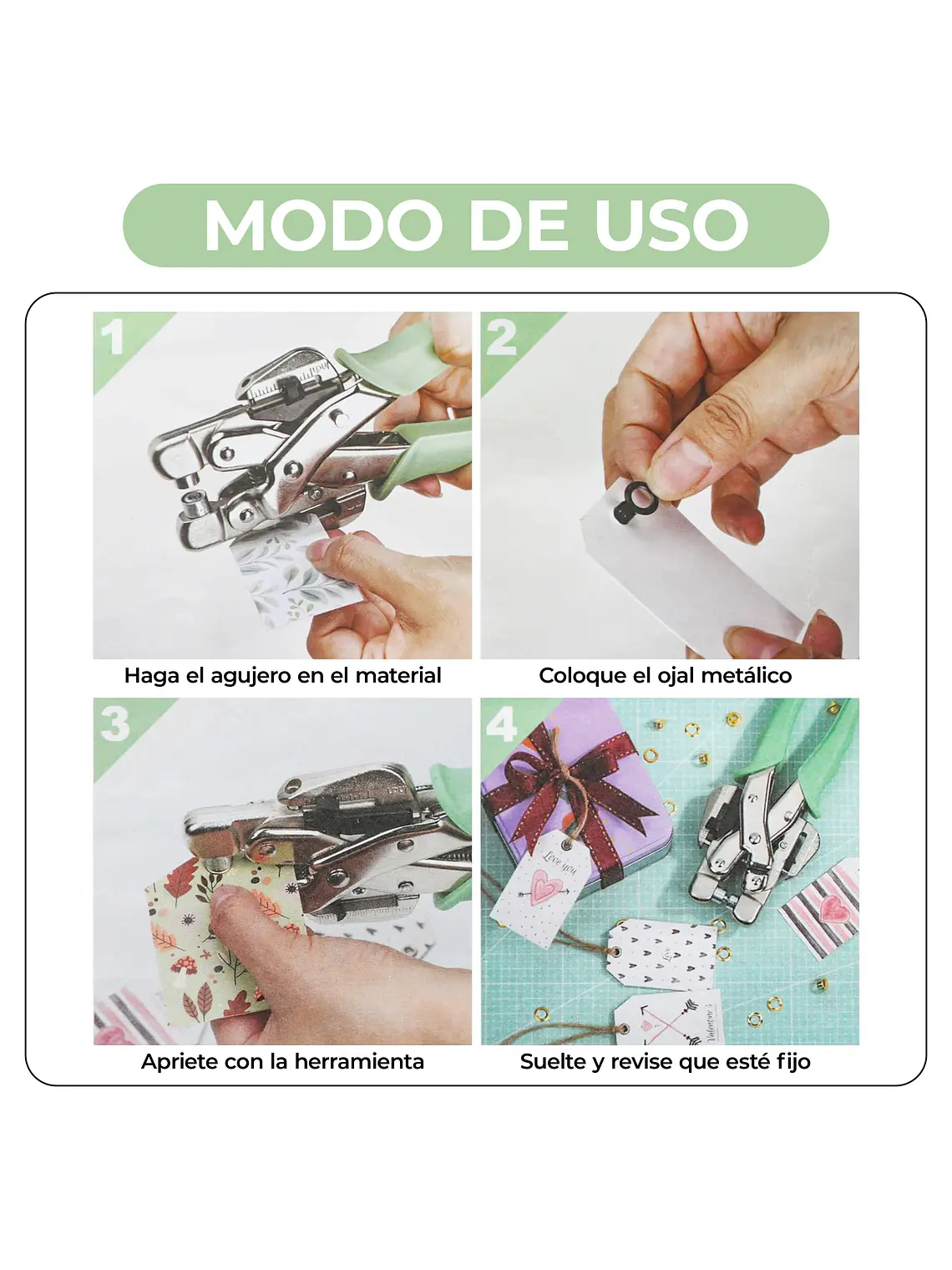 CROP A DILE ALTERNATIVA  4