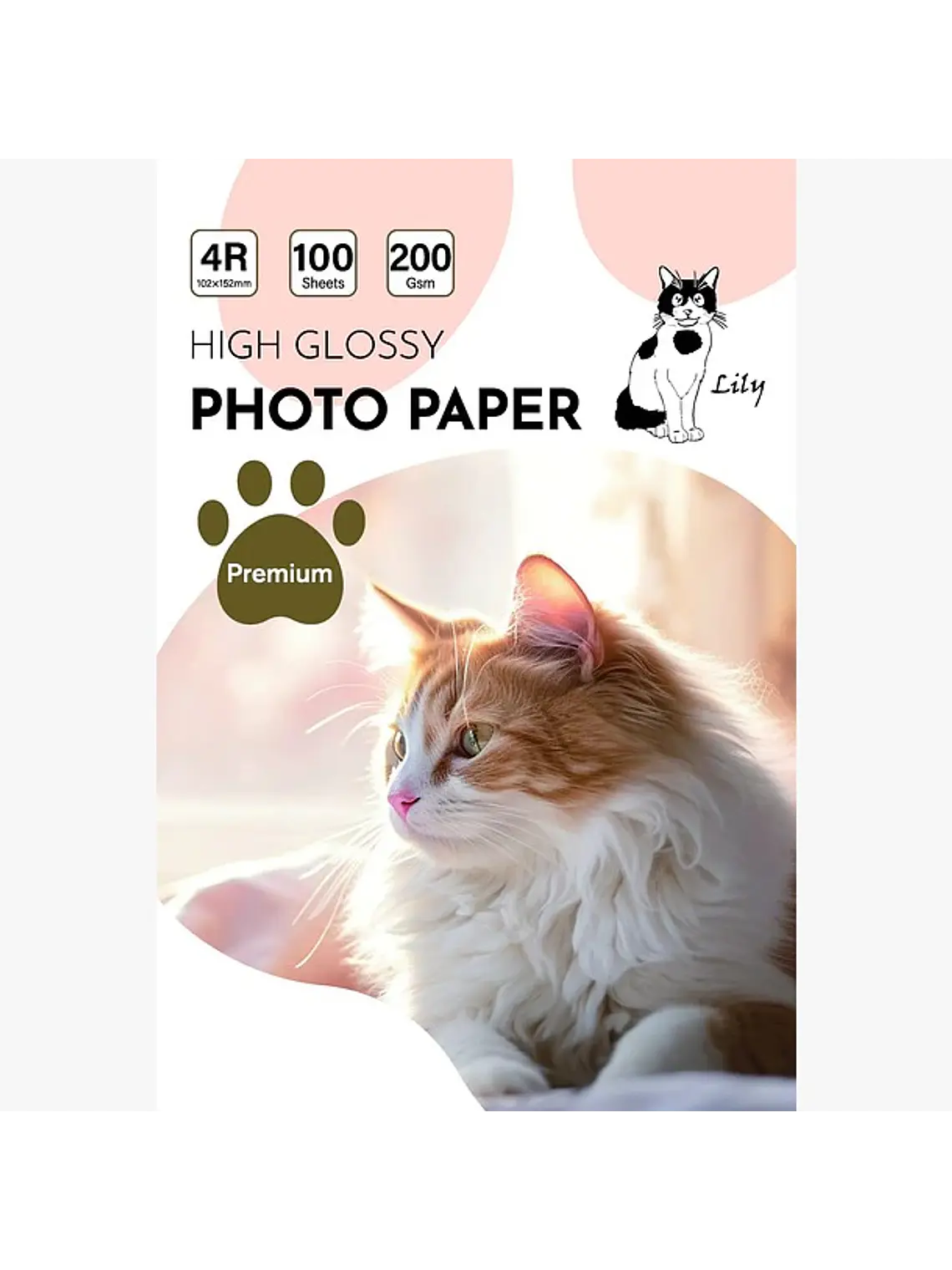PAPEL FOTOGRAFICO GLOSSY 4R 10X15 CM 2