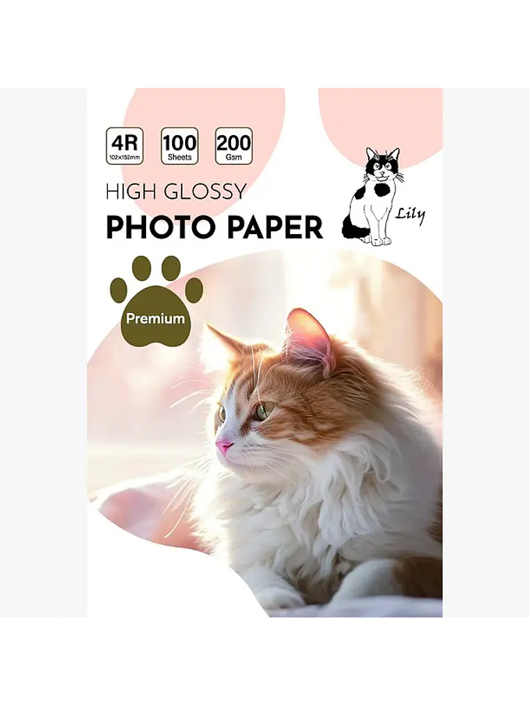 PAPEL FOTOGRAFICO GLOSSY 4R 10X15 CM 2