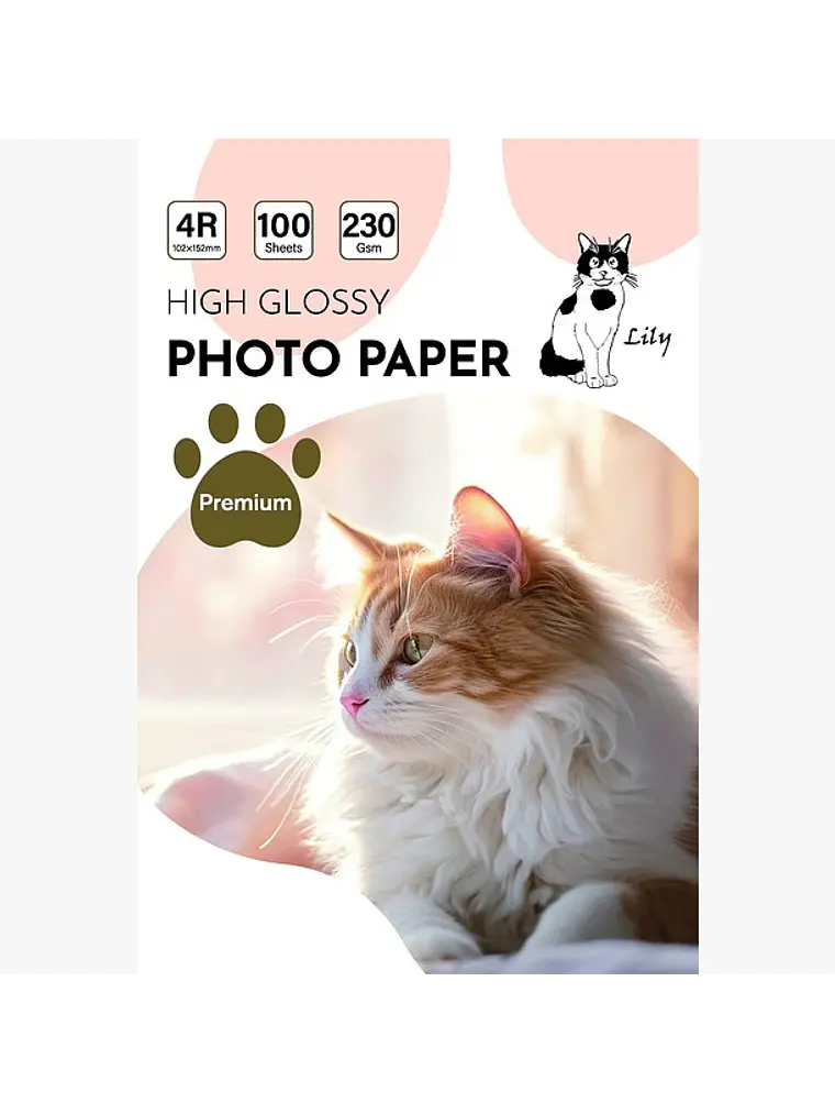 PAPEL FOTOGRAFICO GLOSSY 4R 10X15 CM 3
