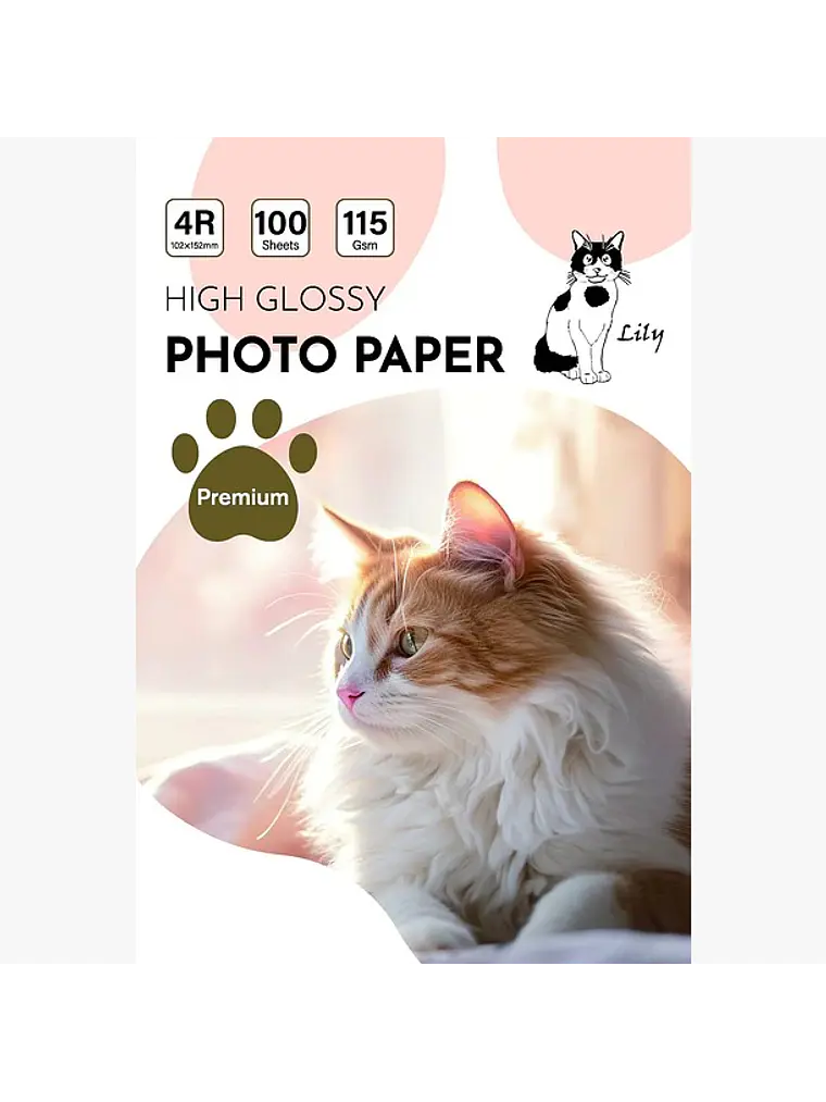 PAPEL FOTOGRAFICO GLOSSY 4R 10X15 CM 1