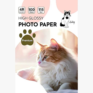 PAPEL FOTOGRAFICO GLOSSY 4R 10X15 CM