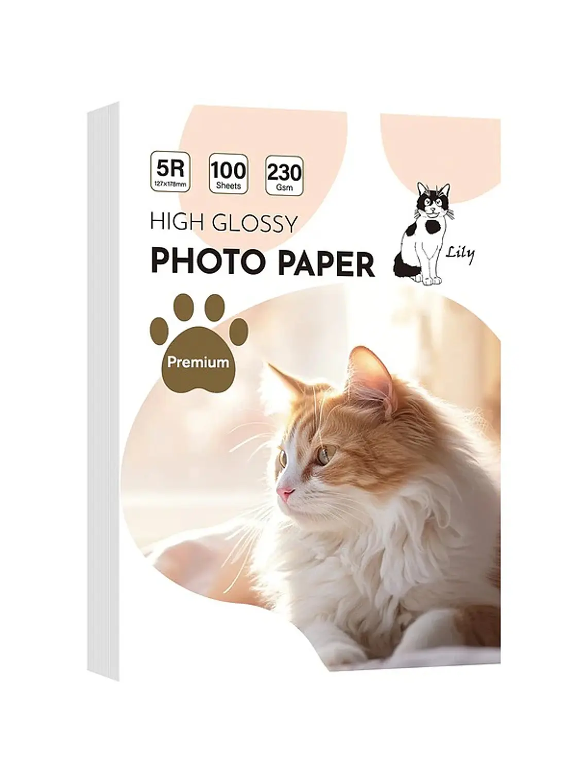 PAPEL FOTOGRAFICO GLOSSY  5R 13x18 230 gramos 100 hojas 1