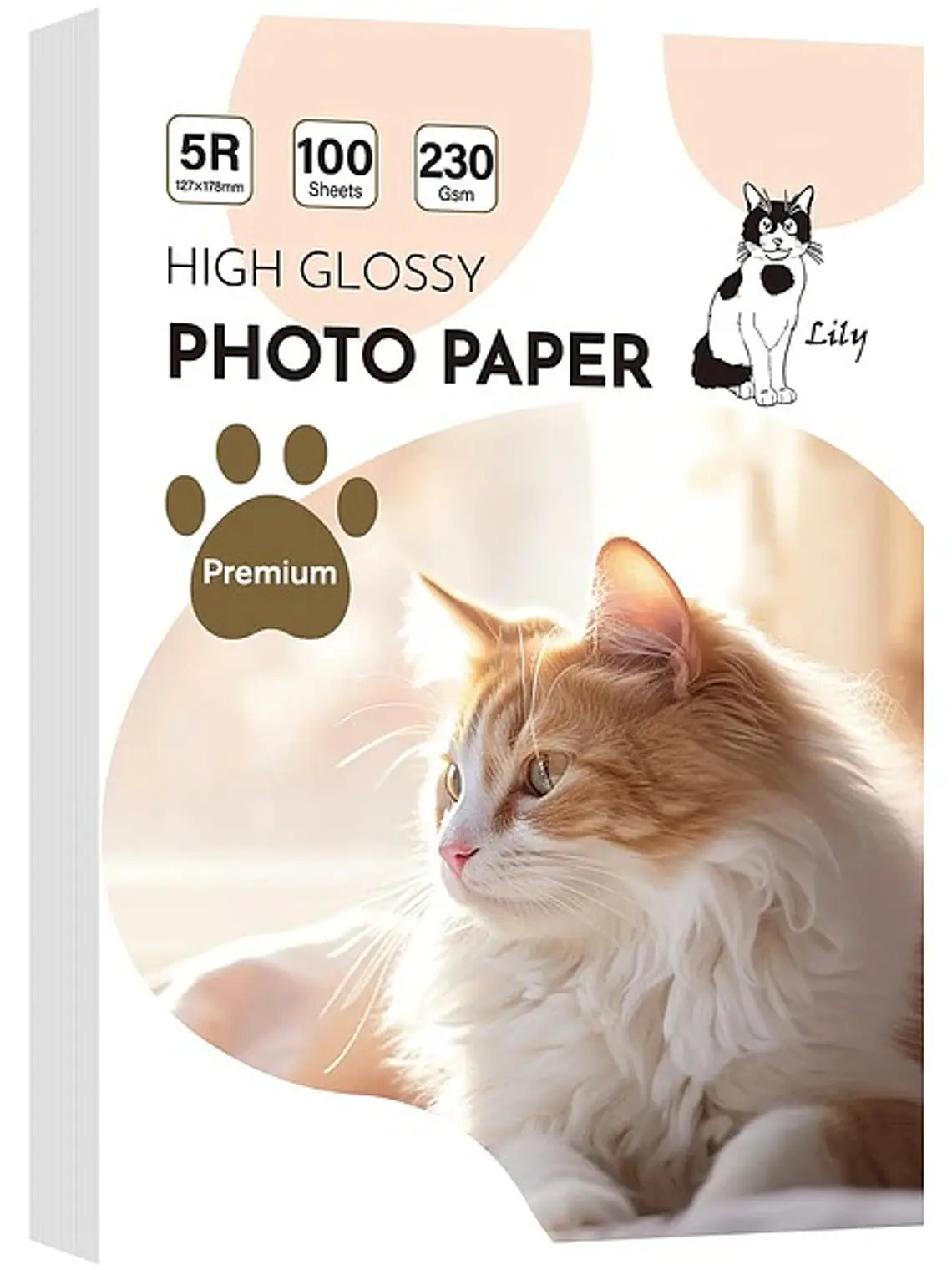 PAPEL FOTOGRAFICO GLOSSY  5R 13x18 230 gramos 100 hojas 1