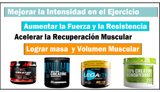 ALMA FIT NUTRITION: TIENDA DE PROTEÍNAS Y SUPLEMENTOS  DEPORTIVOS