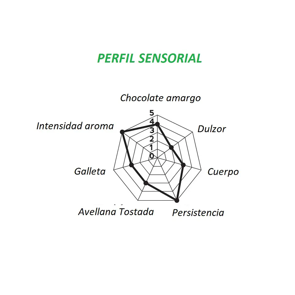 Cápsulas café Hausbrandt Intenso compatibles Nespresso ® (2 cajas) 2