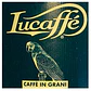 Café Lucaffe Brasile Grano 100% Arábica 250 gr Tarro - Miniatura 2