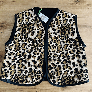 Vest Reversible