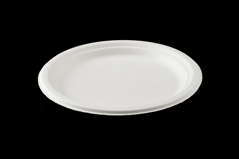 PLATO BIODEGRADABLE 9´´ 23 CM 1