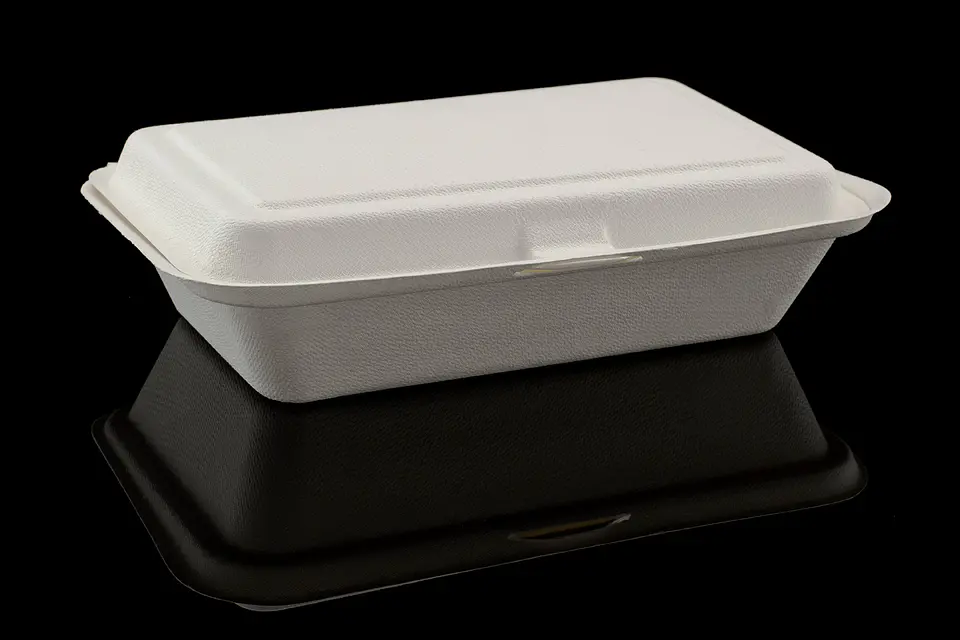 CONTENEDOR BIODEGRADABLE 9X6´´ SIN/DIVIS 50 UN (VENTA X CAJA) 1