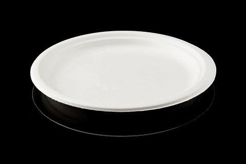 PLATO BIODEGRADABLE 10´´ 25CM  