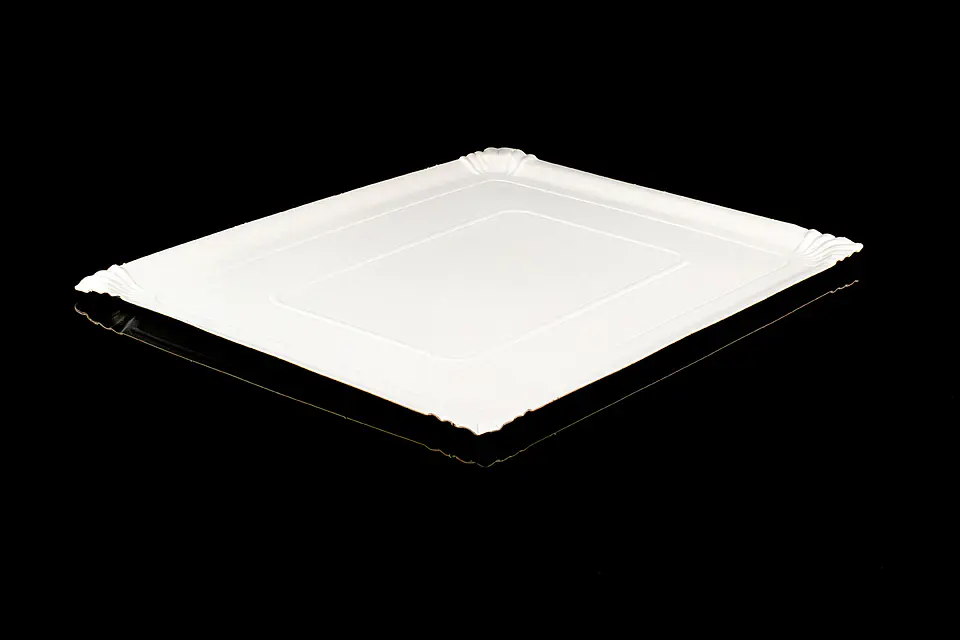 BANDEJA RECTANGULAR 15 1