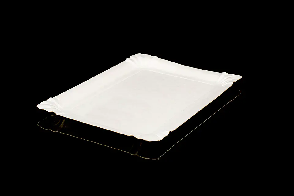 BANDEJA RECTANGULAR 6 1