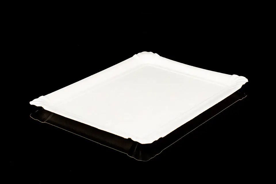 BANDEJA RECTANGULAR 8 1