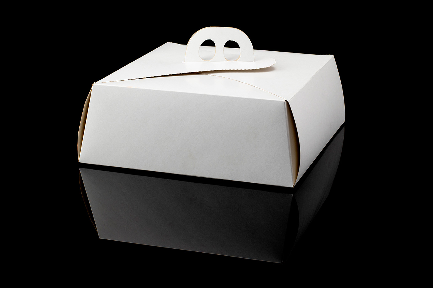 CAJA DE TORTA CHICA BLANCA 1