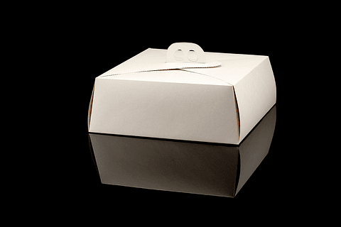 CAJA DE TORTA MINI BLANCA 110X110X450