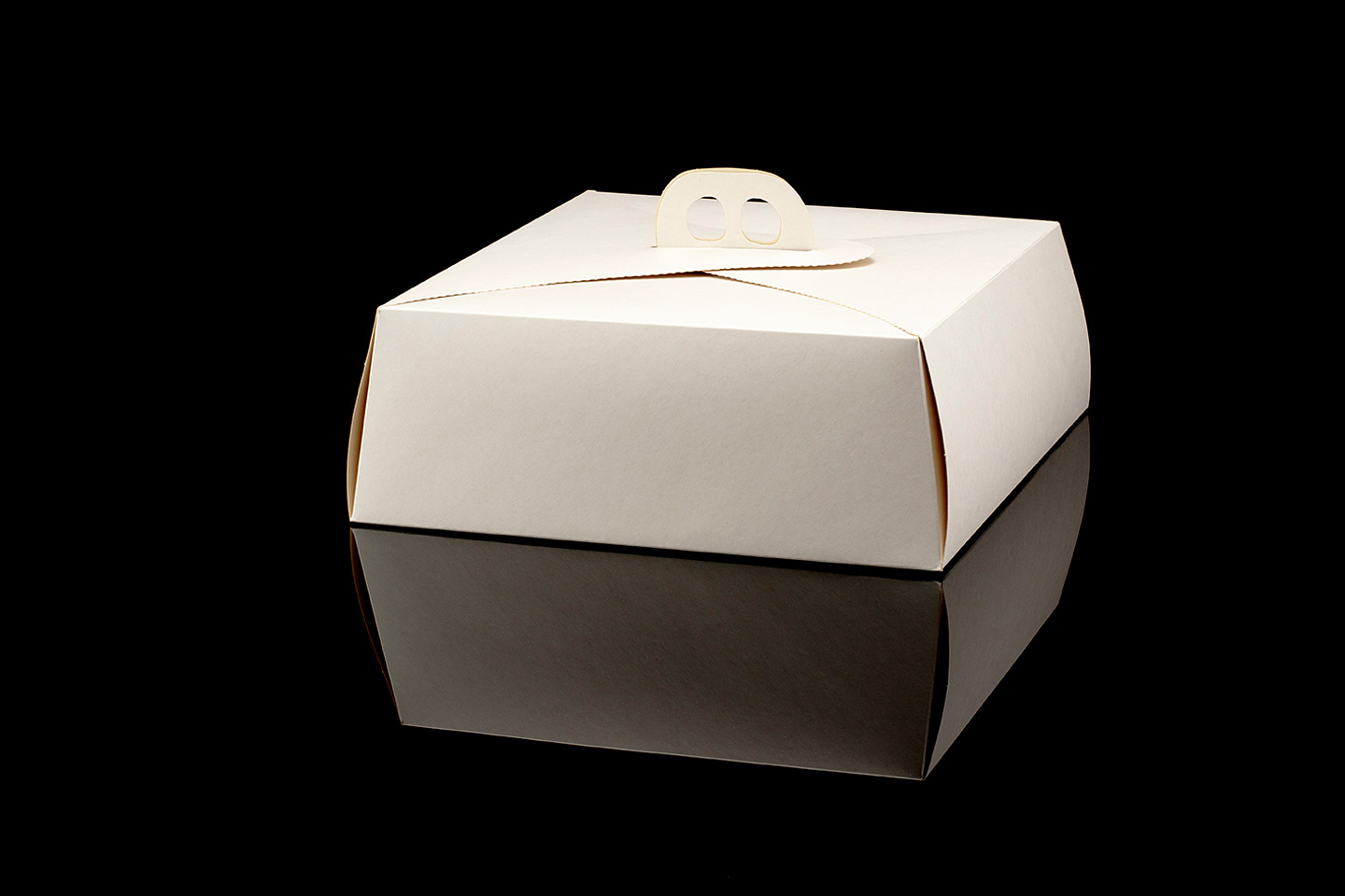 CAJA DE TORTA MINI BLANCA 110X110X450 1