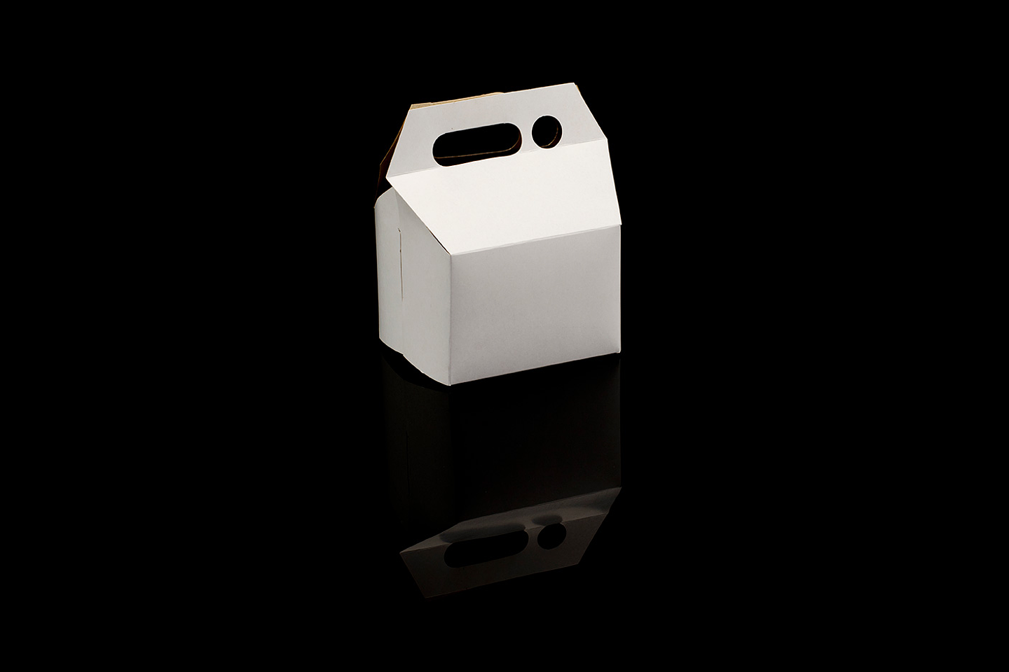 CAJA PAPAS FRITAS BLANCA 1