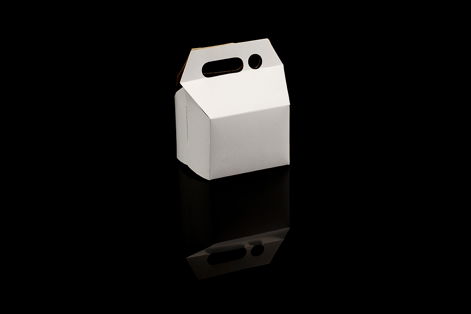 CAJA PAPAS FRITAS BLANCA 1