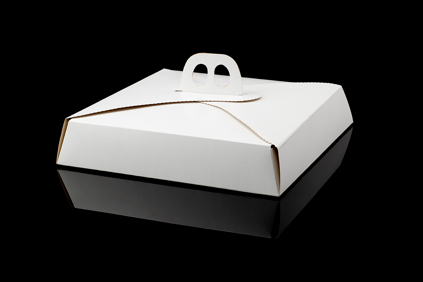 CAJA TARTALETA /PIZZA MED.BLANCA 1