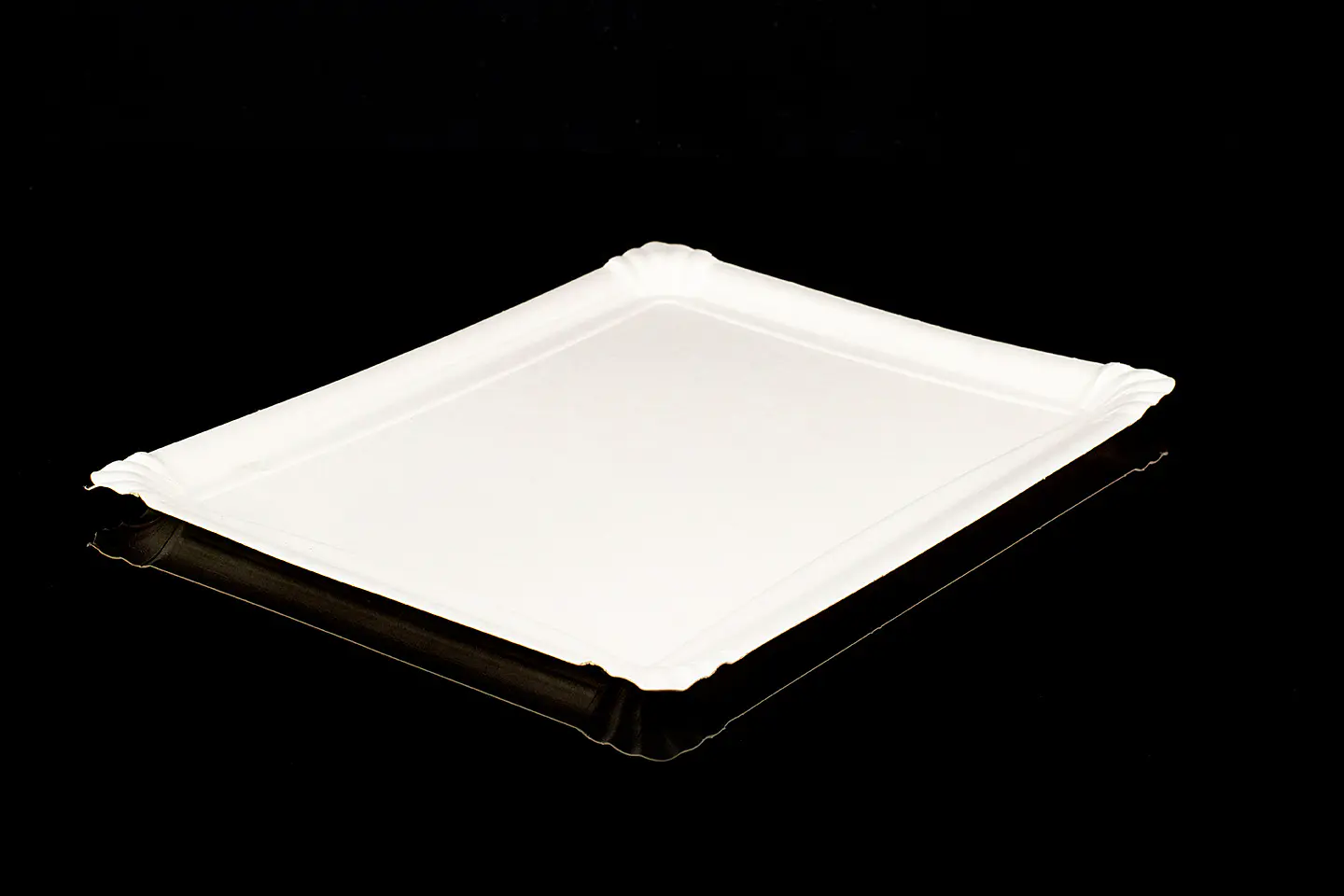 BANDEJA RECTANGULAR 10 1