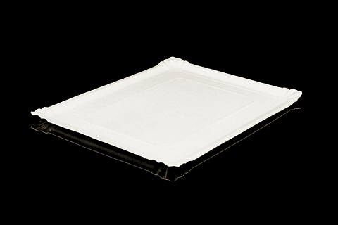 BANDEJA RECTANGULAR 12