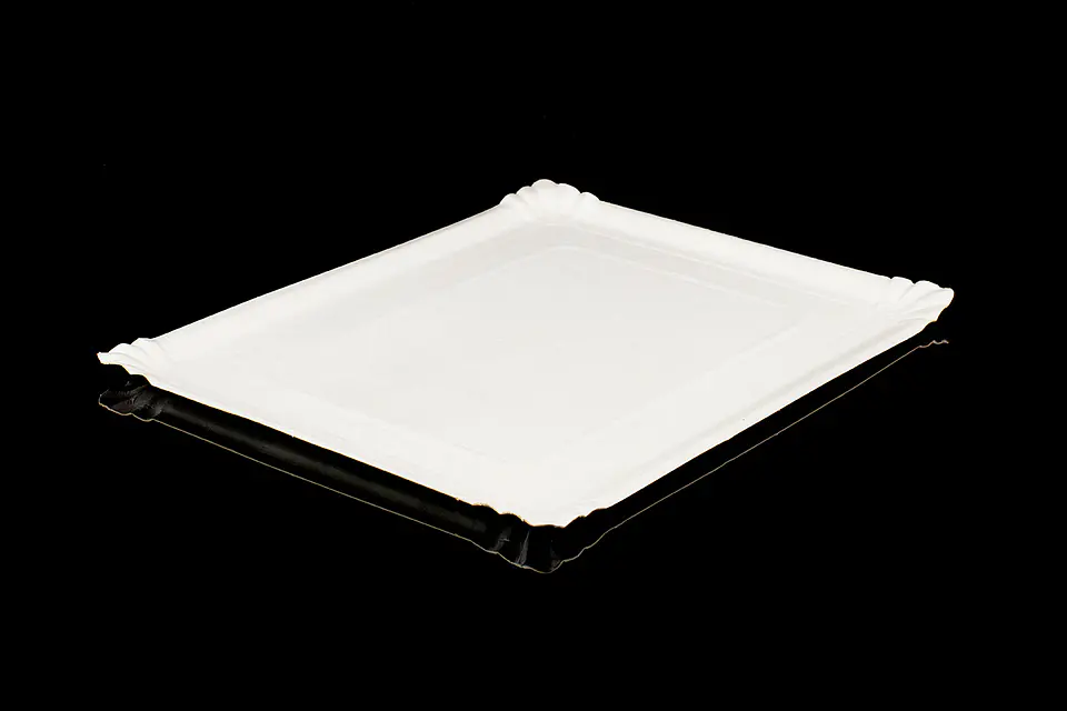 BANDEJA RECTANGULAR 12 1