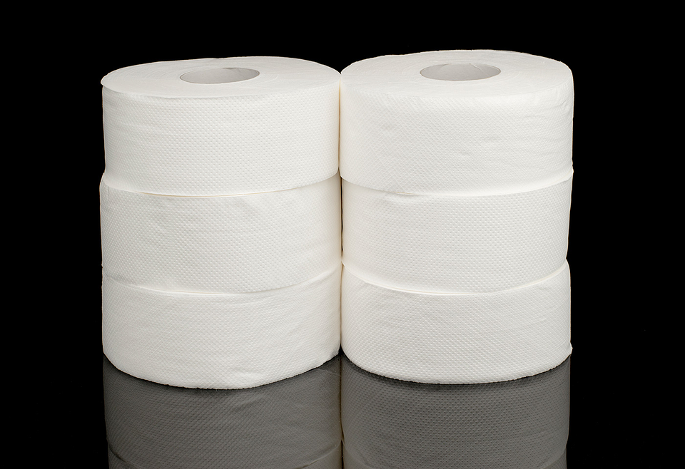 HIGIENICO 6X300 MTS 1