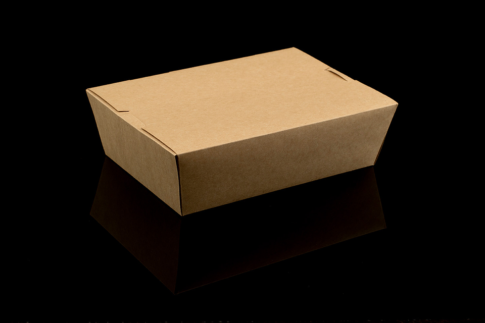 CAJA DELIVERY KRAFT 350 1