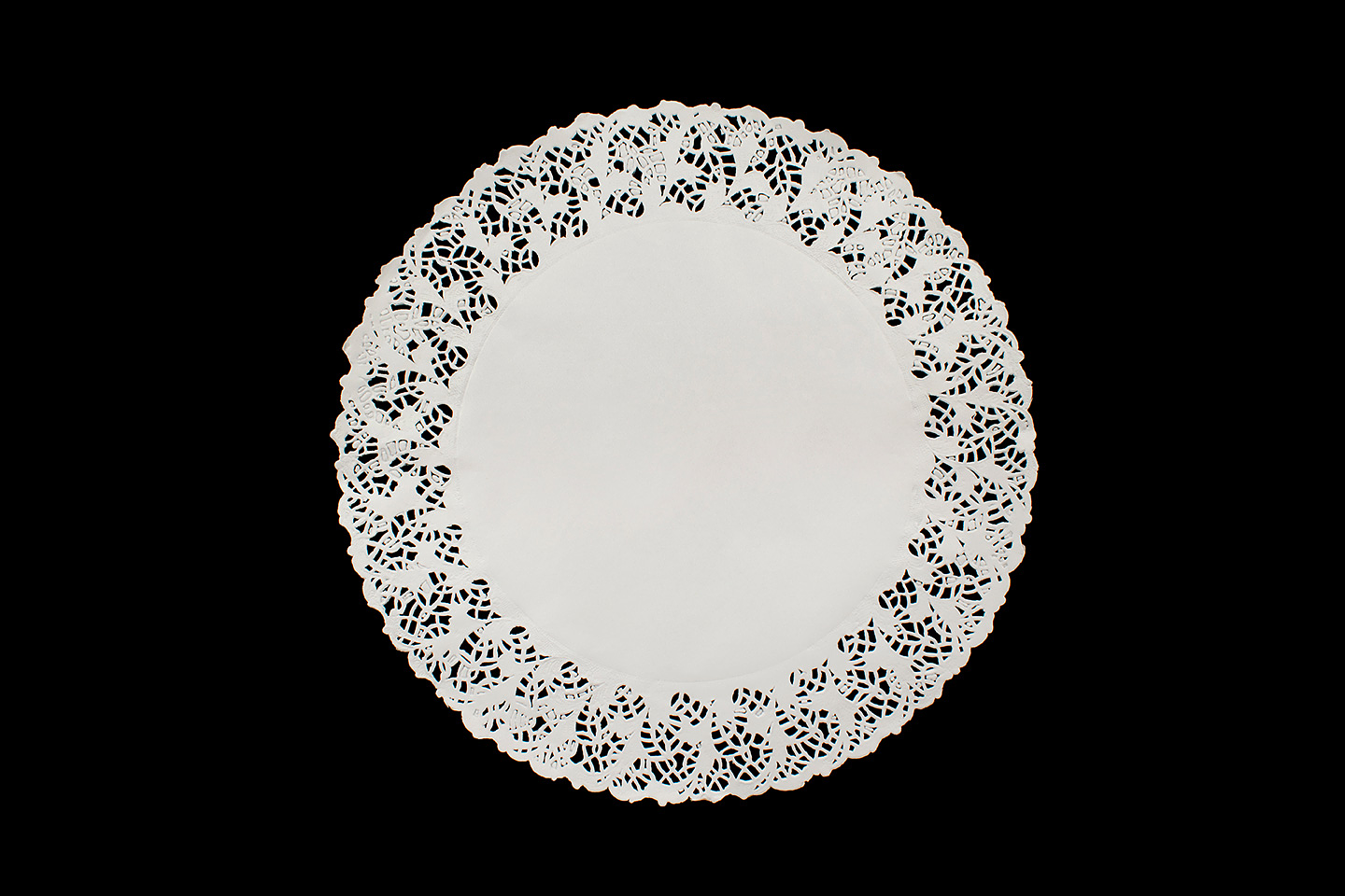 BLONDA REDONDA  16 1