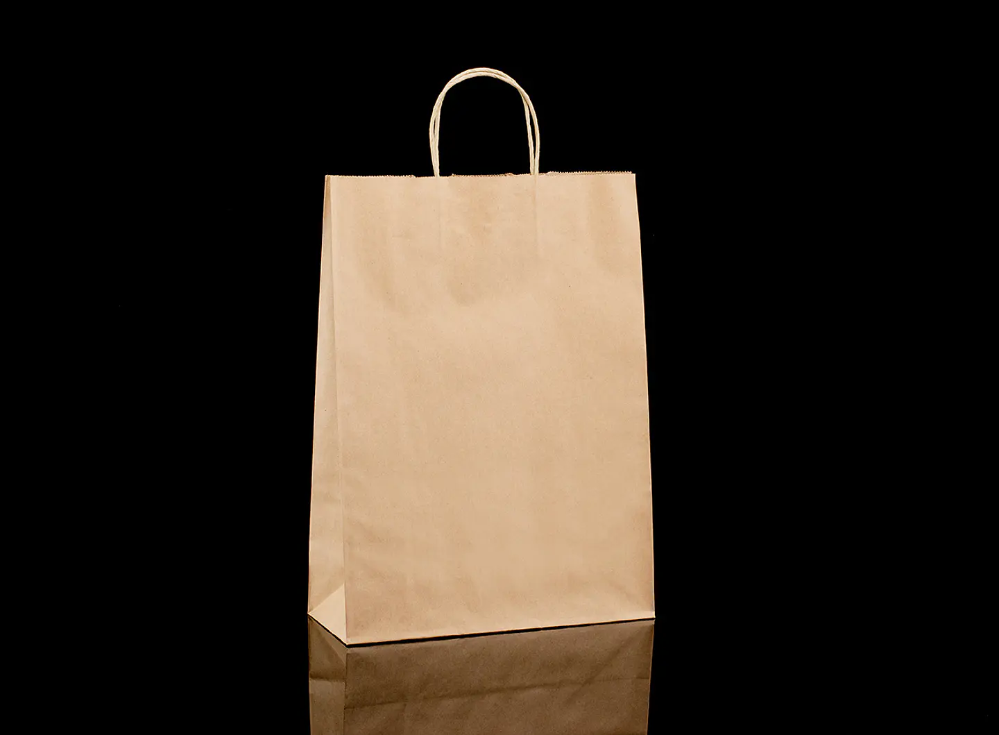 BOLSA DE PAPEL KRAFT 30X12X41 TOR STOCK1 1