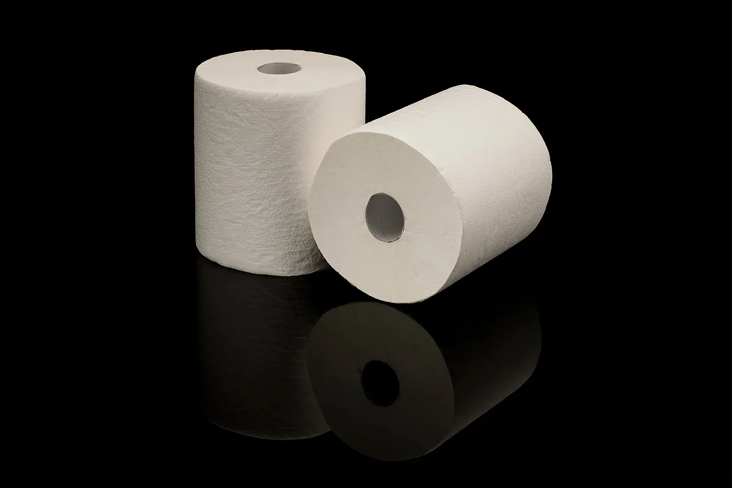 TOALLA PAPEL 100MTX2ROLLO PACK 1