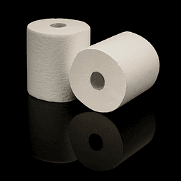 TOALLA PAPEL 100MTX2ROLLO PACK